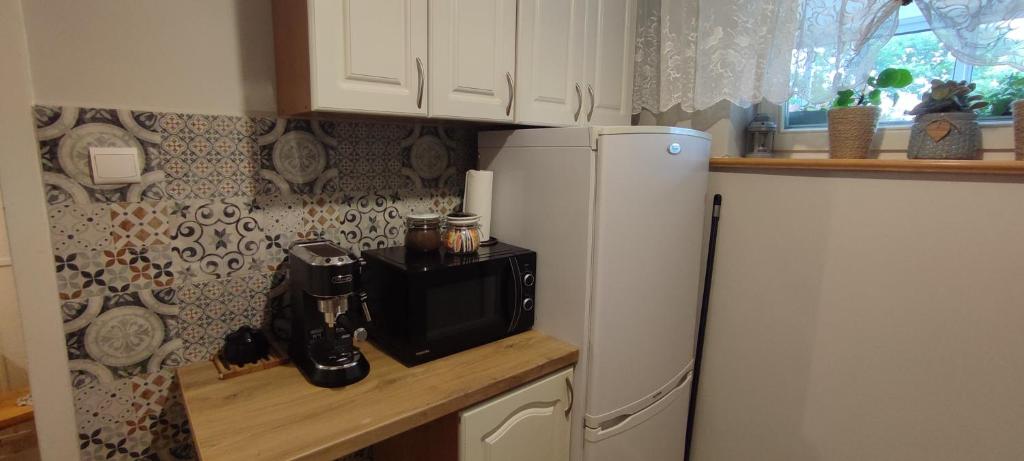 Kuchyňa alebo kuchynka v ubytovaní Retrospekcja - Apartament w centrum