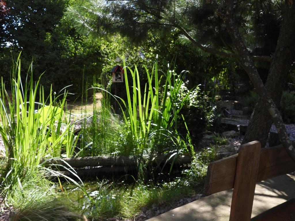 Vonkajšia záhrada v ubytovaní La suite Mélusine - SPA du Souffle du Saule
