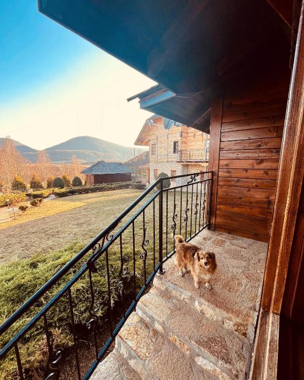 a dog standing on the steps of a house at ETNO SELO VRANEŠA Zlatar in Nova Varoš