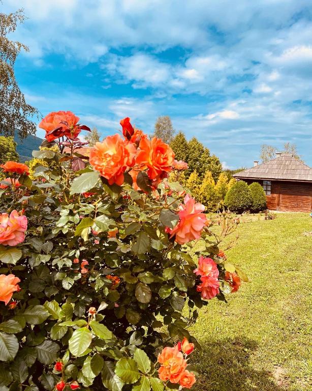 a bush with orange flowers in a yard at ETNO SELO VRANEŠA Zlatar in Nova Varoš