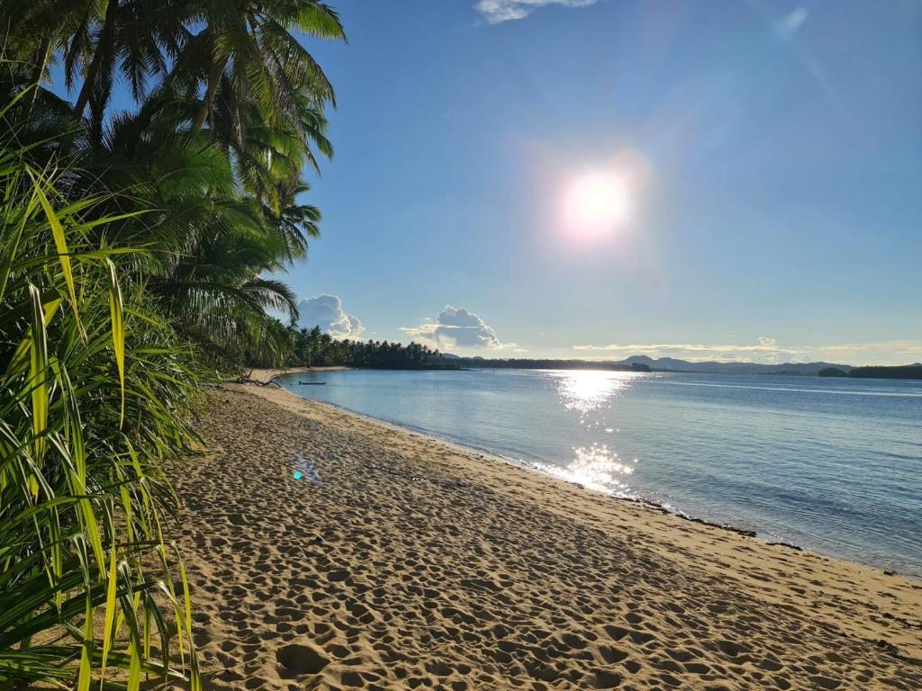 une plage de sable avec des palmiers et l'océan dans l'établissement VILLA JUAN - A Beach Front Villa in General Luna Siargao, à General Luna