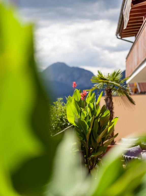 Nespecifikovaný výhled na hory nebo výhled na hory při pohledu z hotelu