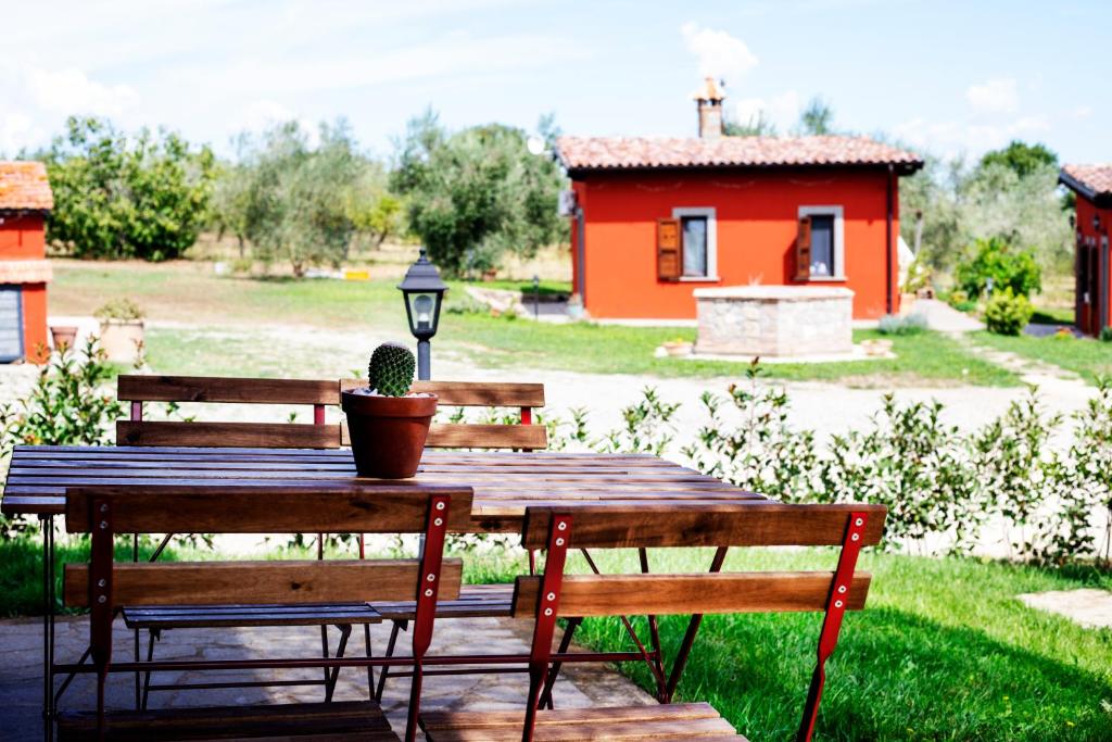 Ogród w obiekcie Agriturismo Poggio Degli Ulivi