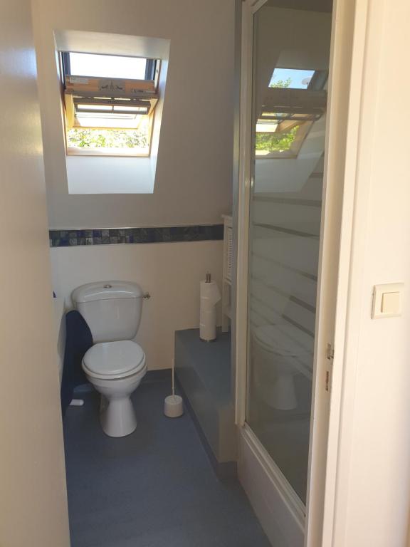 a bathroom with a toilet and a shower at Maison typique bretonne a 5 min de la plage a pied in Crozon