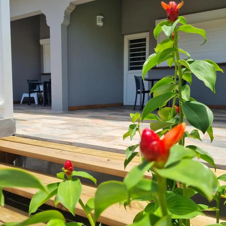 Zahrada ubytování Villa MALOEM
