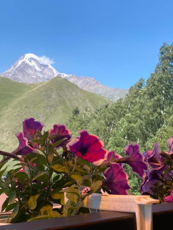 a potted plant with a view of a mountain at Hotel Elegant in Kazbegi