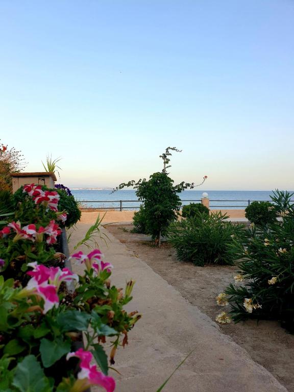 a path leading to a beach with pink flowers at Platsa Studios in Megás Limniónas