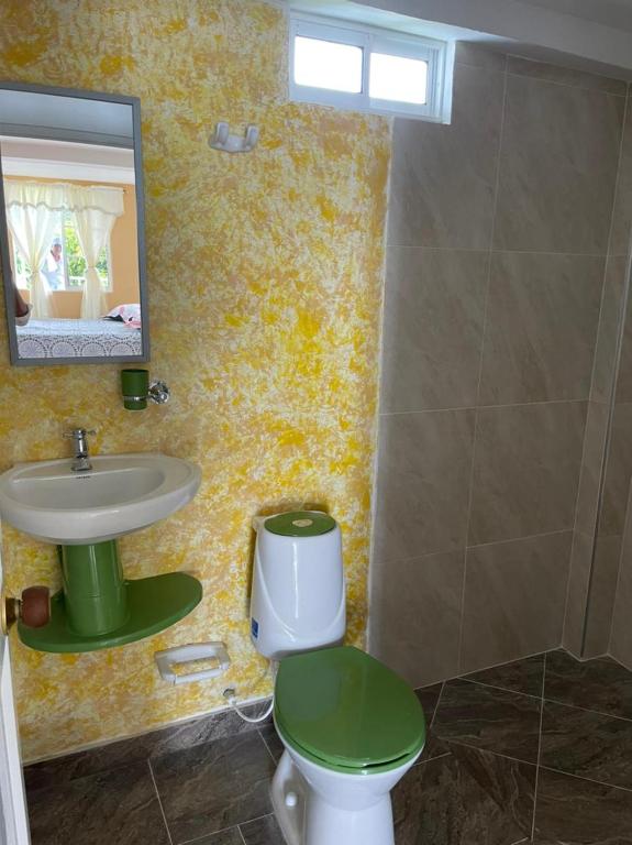 Koupelna v ubytování Posada Miss Portia