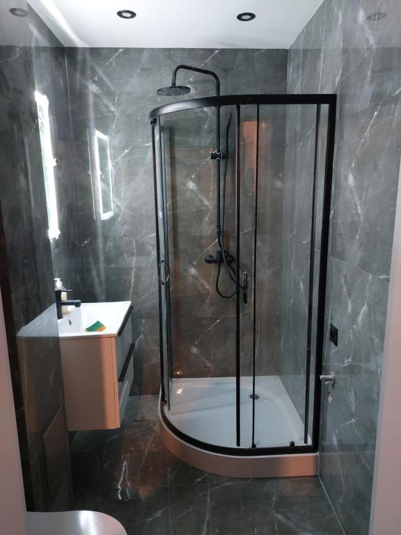 a shower stall in a bathroom with a sink at Apartament Chopina 17 in Włocławek
