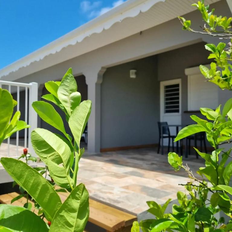 Zahrada ubytování Villa MALOEM