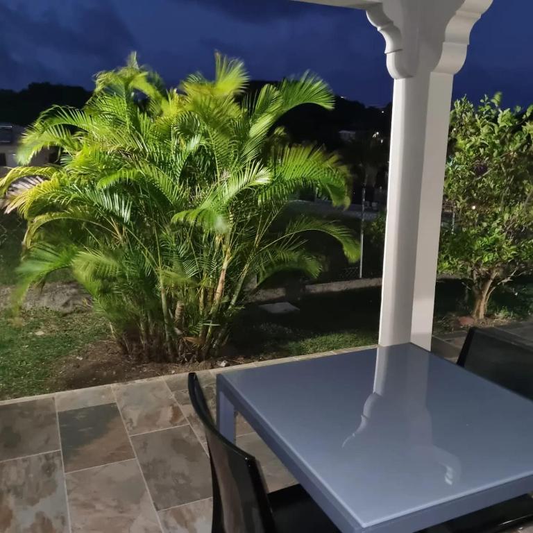 Zahrada ubytování Villa MALOEM