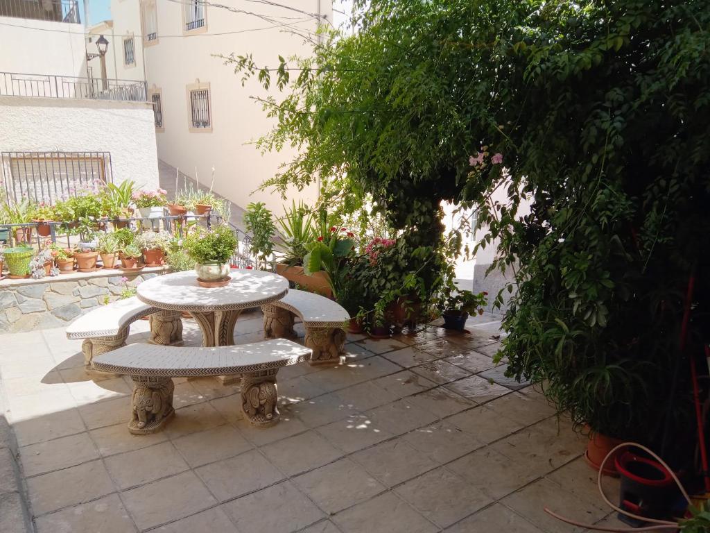 a table and benches in a courtyard with plants at Miguel y Rosa Lúcar in Lúcar