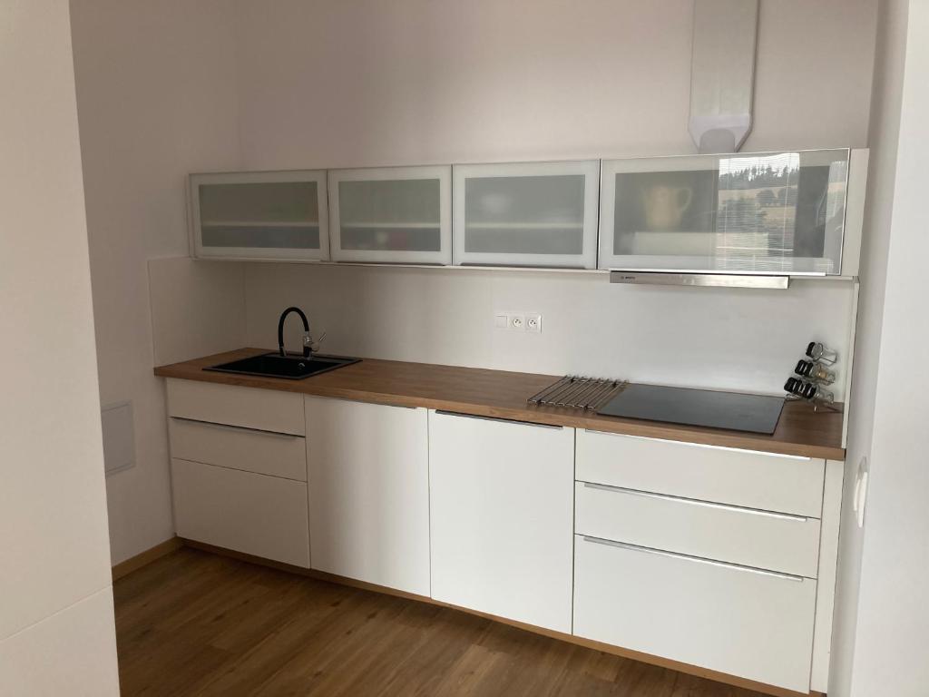 Kuchnia lub aneks kuchenny w obiekcie Dům U Lipky