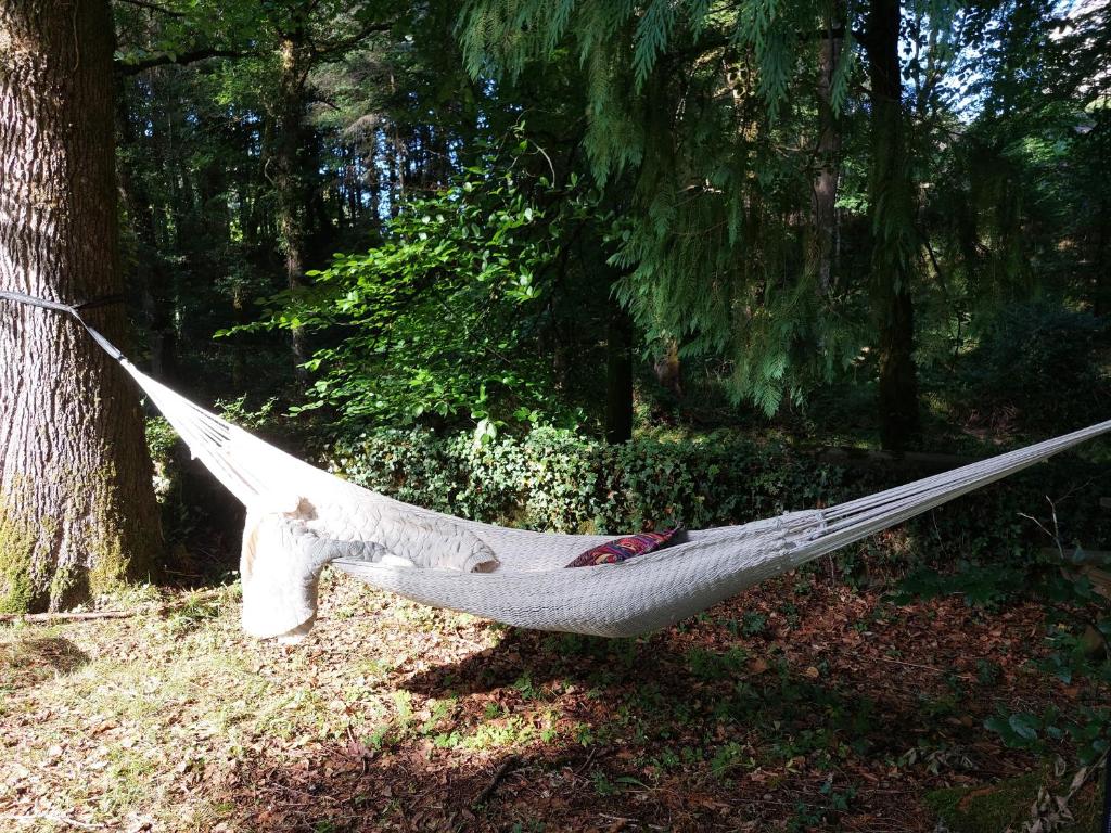 a white hammock hanging from a tree in a forest at Dormir au bord de la Vézère in Treignac