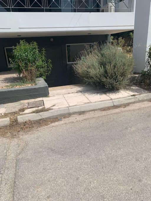 Unique space in Gerakas - Cave - 9