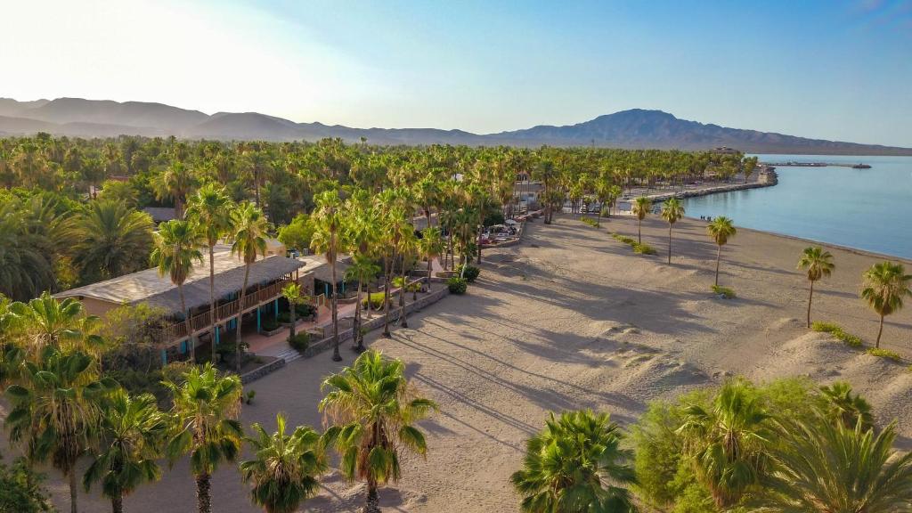una vista aerea di una spiaggia con palme di Hotel Oasis a Loreto