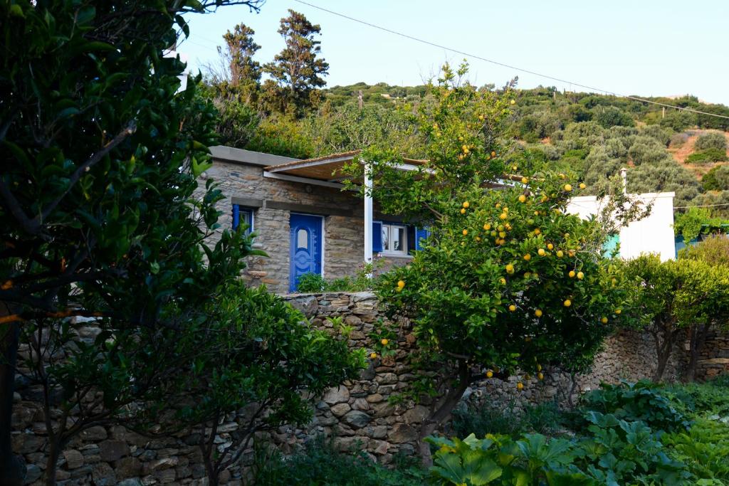 una casa de piedra con una puerta azul y un árbol en K vineyard house, en Apróvaton