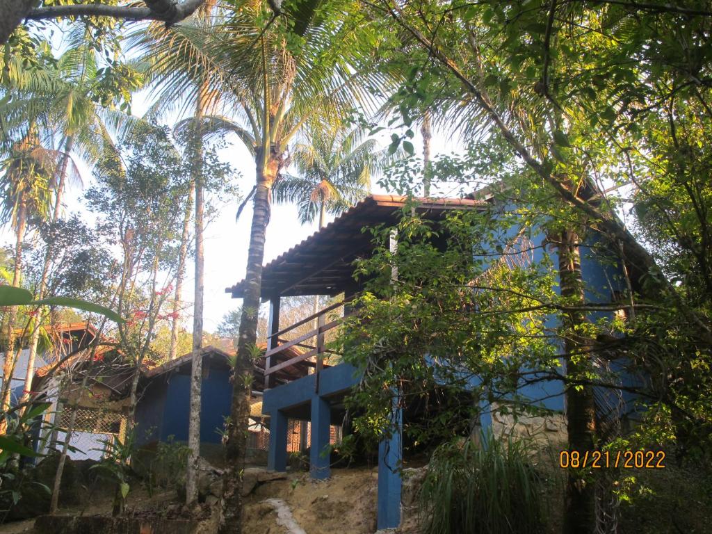 a blue house in the jungle with palm trees at Janela dos Meus Sonhos in Penedo