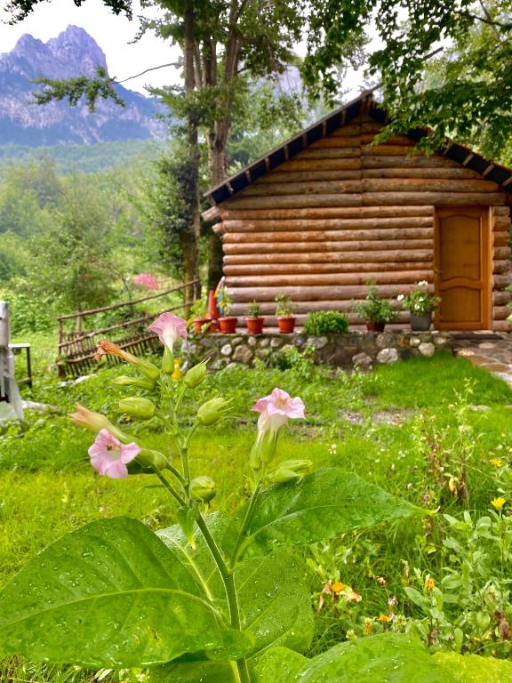 Guest house Hyrmet Demushi - Imazhi 8