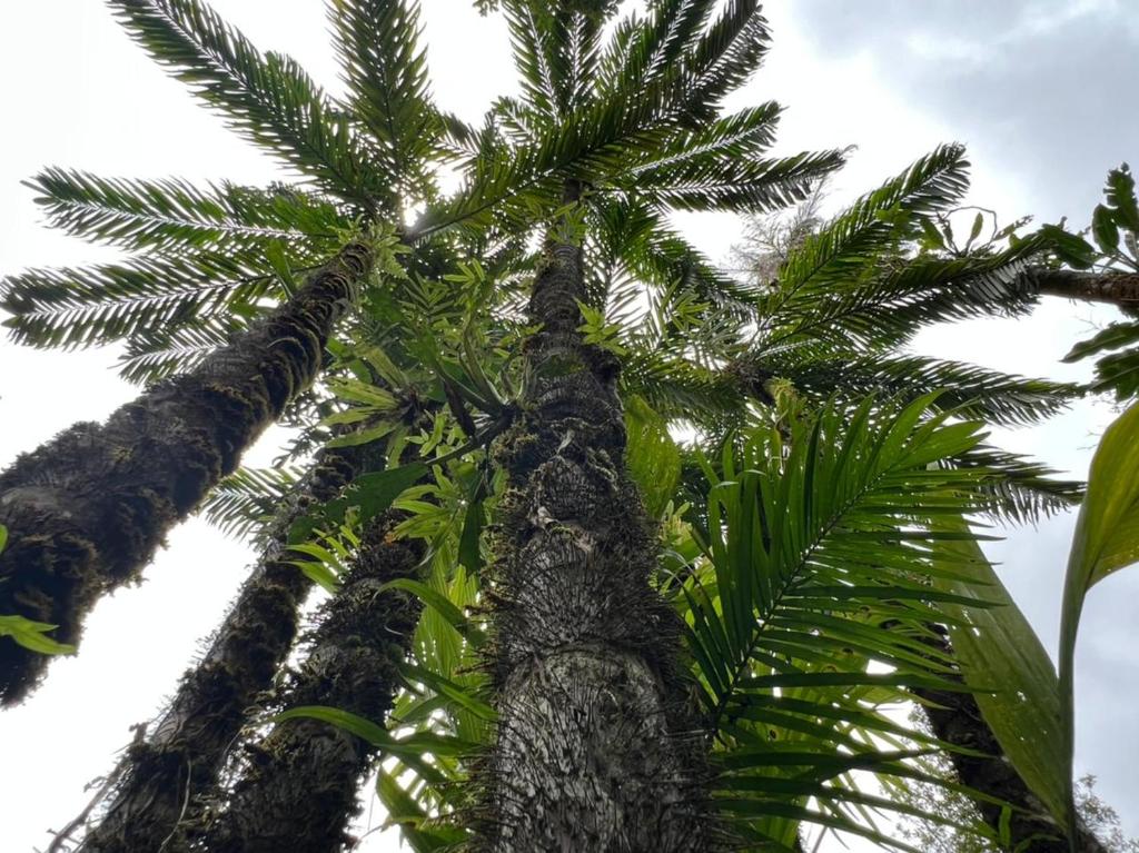 Sukia Hostel - Sala De Dormitório Mista De 4 Camas