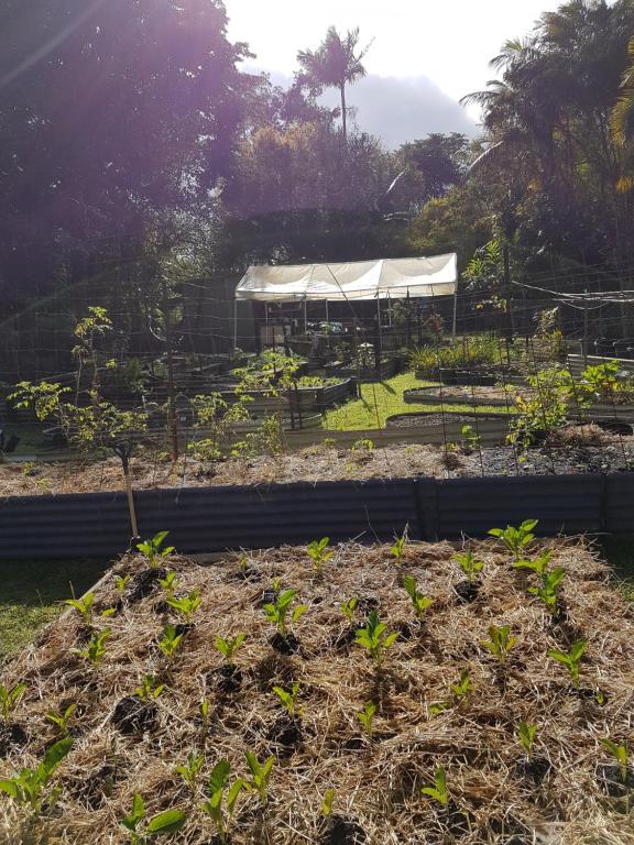 Zahrada ubytování Garden Studio