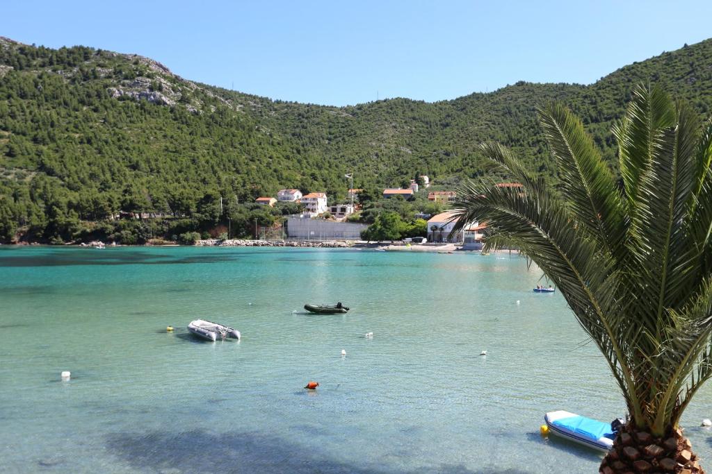 Fotografia z galérie ubytovania Apartments by the sea Zuljana, Peljesac - 10218 v Žuljane