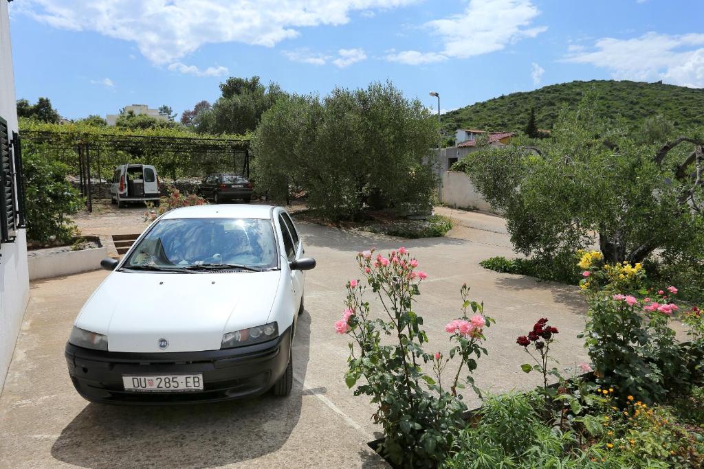 Príroda v okolí apartmánu