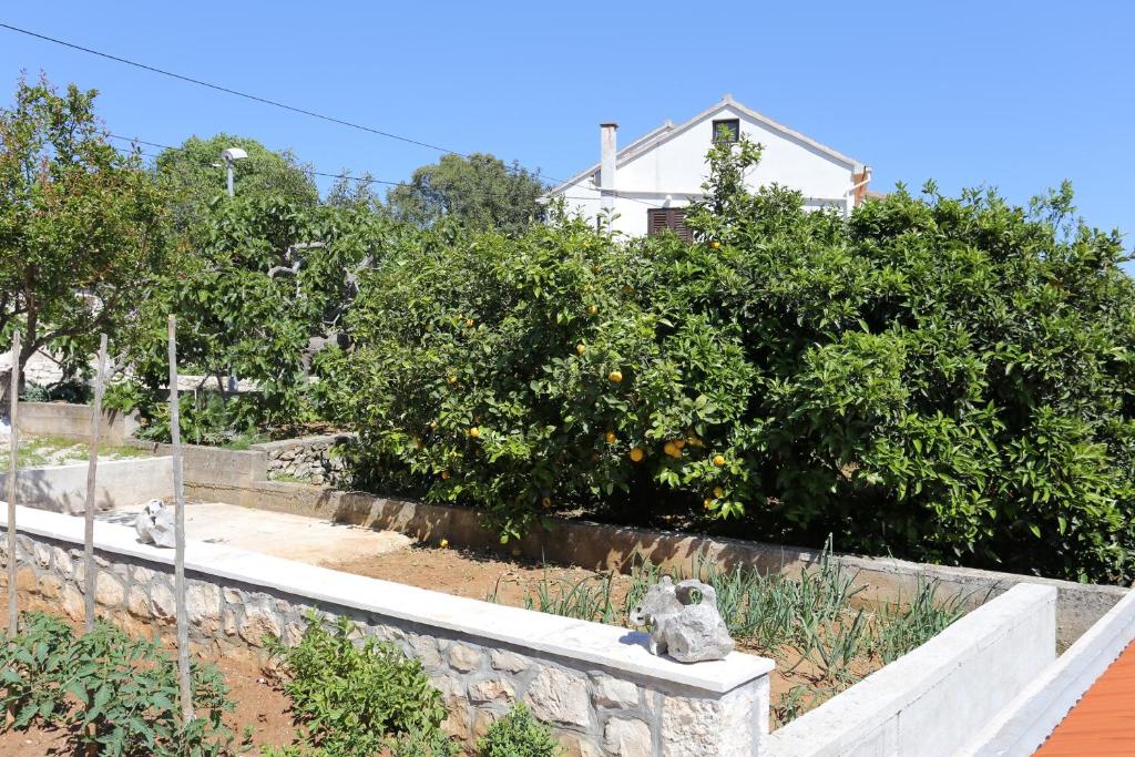 Zahrada ubytování Apartments with a parking space Lumbarda, Korcula - 9474