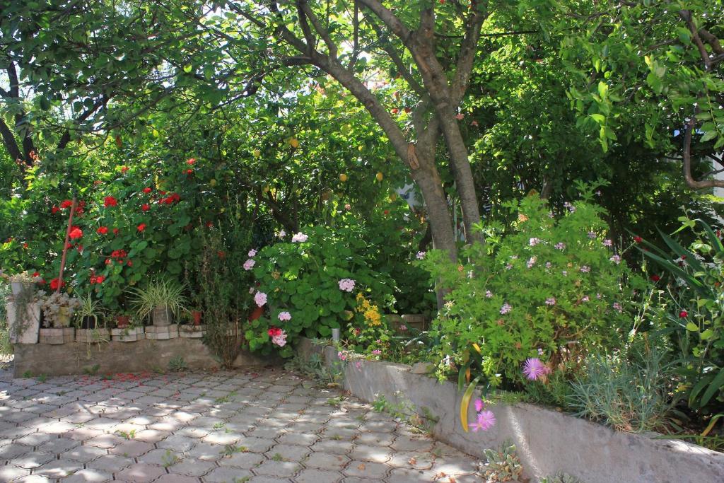 Fotografia z galérie ubytovania Apartments with a parking space Orebic, Peljesac - 10093 v destinácii Orebić