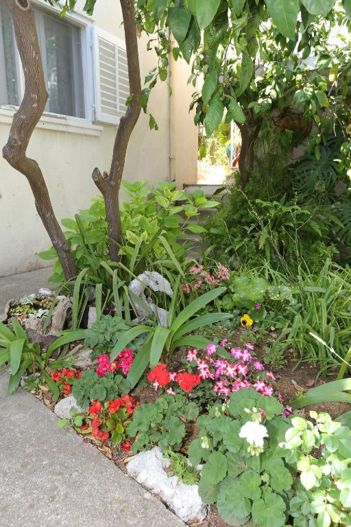 Vonkajšia záhrada v ubytovaní Apartments with a parking space Trpanj, Peljesac - 10111