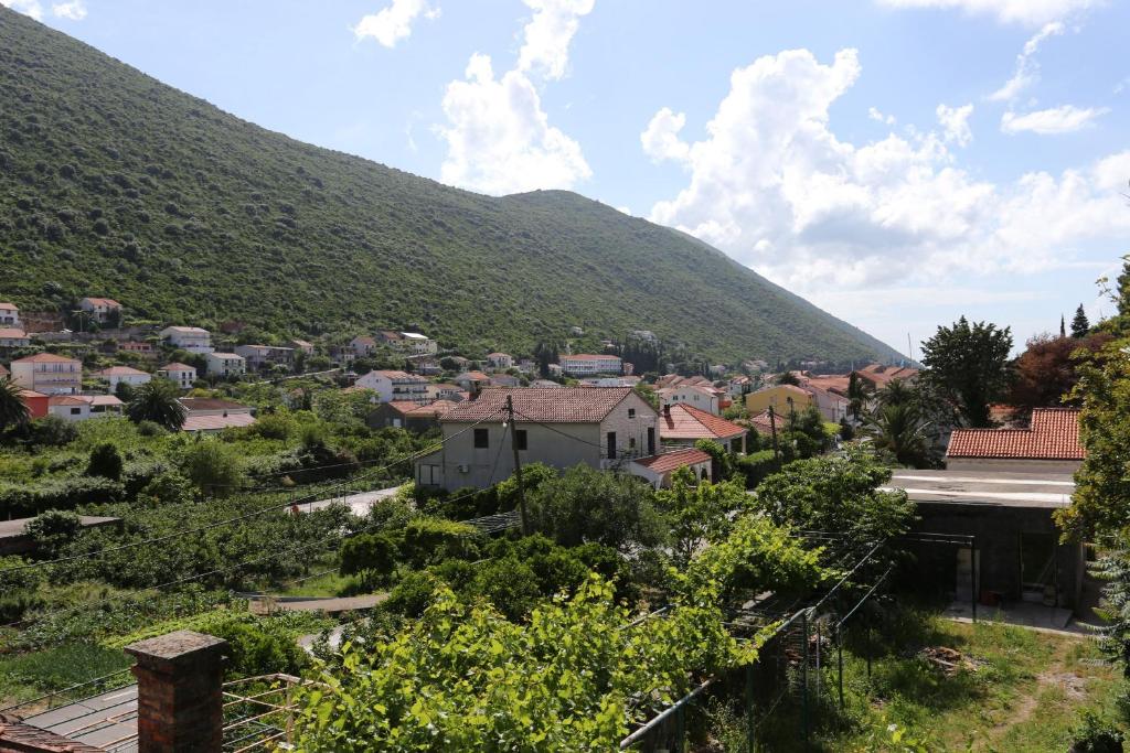 Príroda v okolí apartmánu
