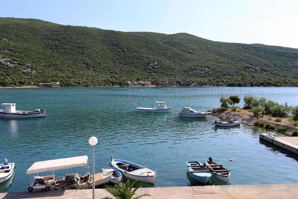 Príroda v okolí apartmánu