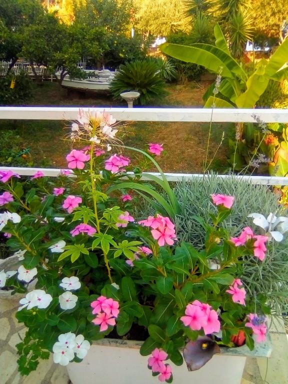 Vonkajšia záhrada v ubytovaní Apartments by the sea Trogir - 9667