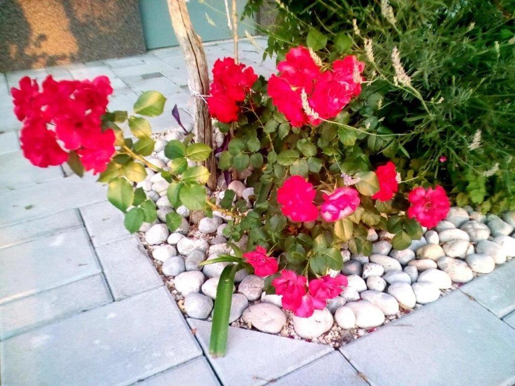 Vonkajšia záhrada v ubytovaní Apartment Starigrad 11683b