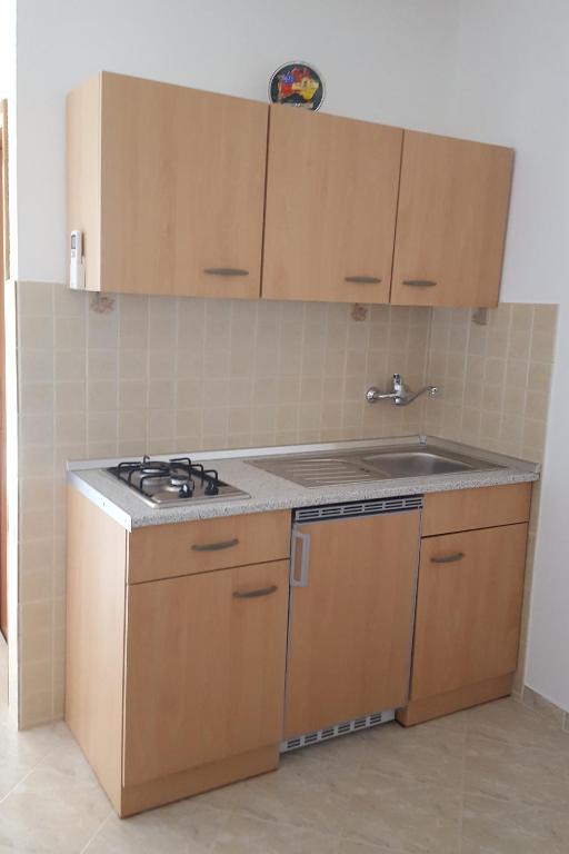Kuchyňa alebo kuchynka v ubytovaní Apartment Starigrad 11683b