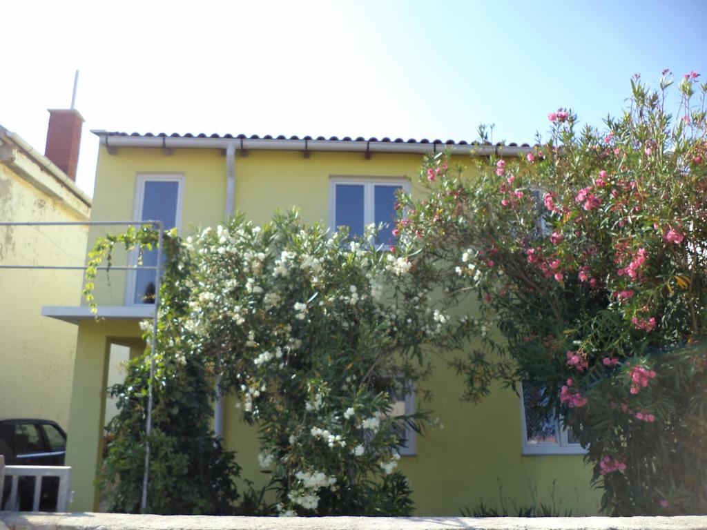 ein gelbes Haus mit rosa und weißen Blumen davor in der Unterkunft Apartments with a parking space Vir - 11812 in Vir