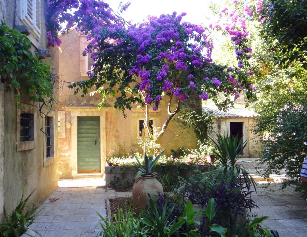 a tree with purple flowers in front of a building at Seaside holiday house Orebic, Peljesac - 11853 in Orebić