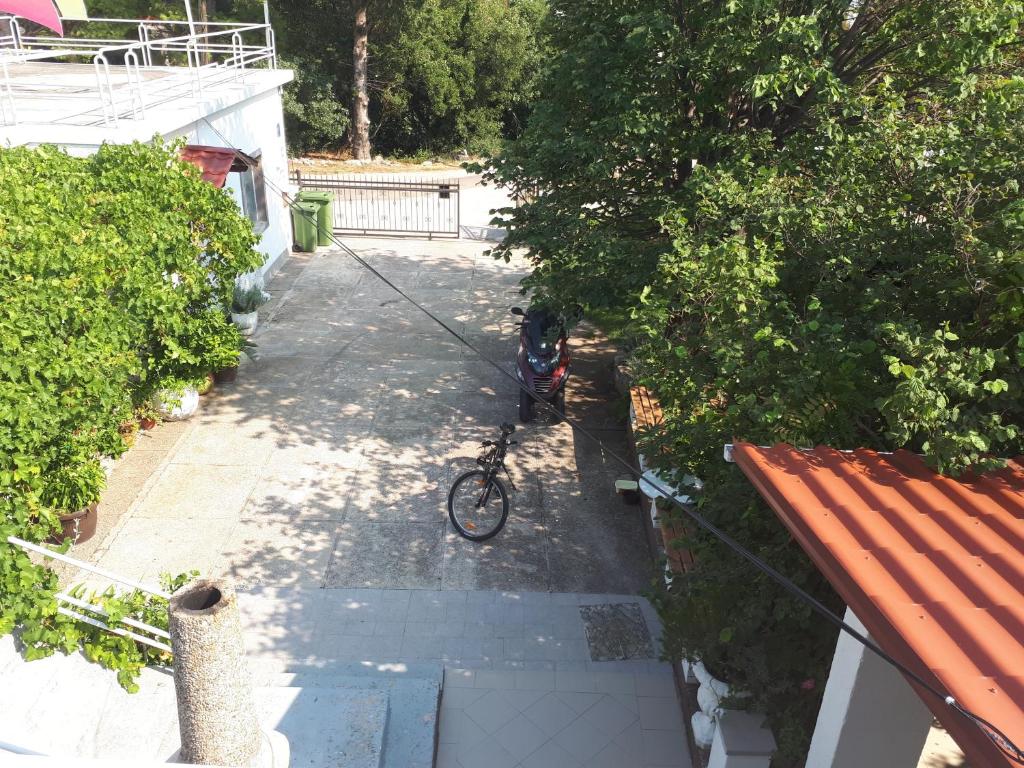 Jazda na bicykli v okolí ubytovania Apartments with parking spaces Starigrad, Paklenica - 11848