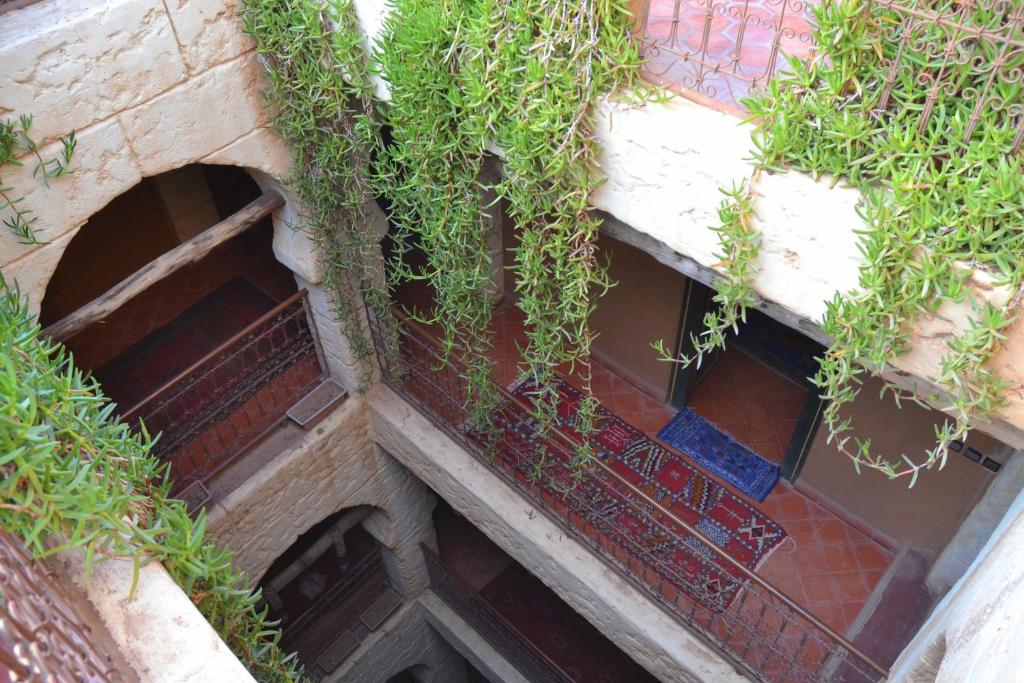 une vue sur un bâtiment avec des plantes dans l'établissement Rose Noire, à Ouarzazate