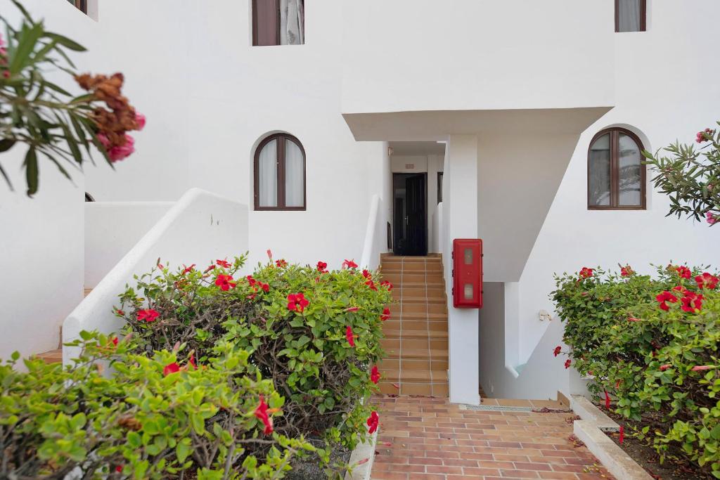Zahrada ubytování Casa Paloma