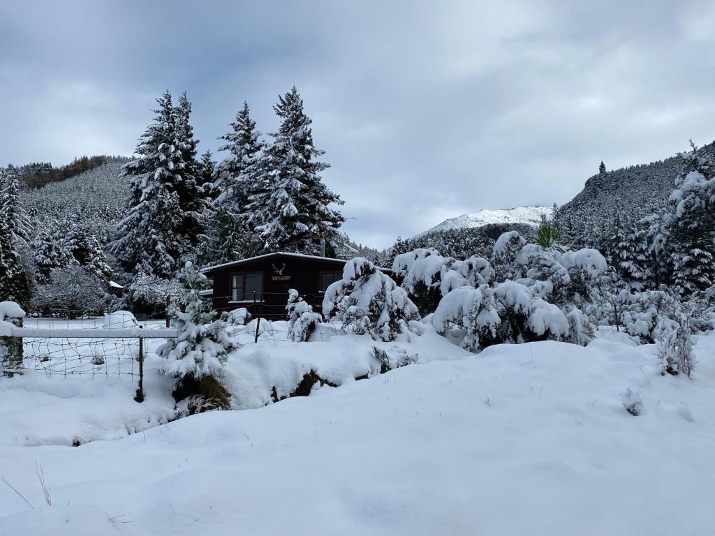 una cabaña cubierta de nieve frente a los árboles en Washpen Falls en Windwhistle
