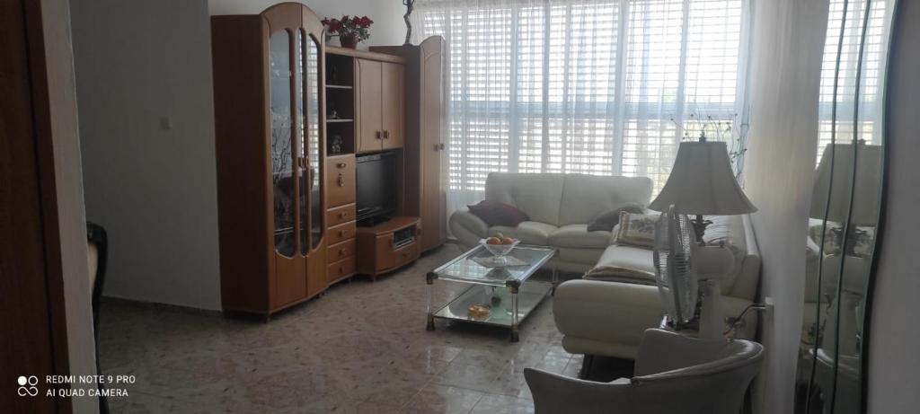sala de estar con sofá, silla y TV en Apartments Haagna en Ashdod