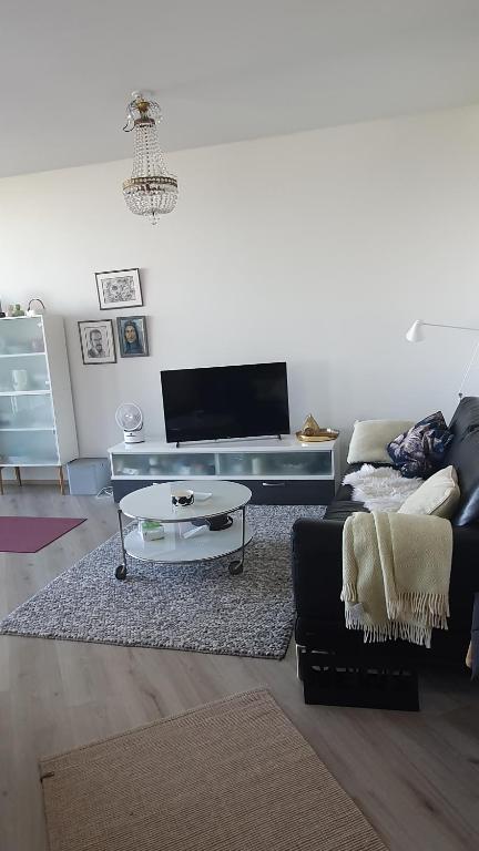 uma sala de estar com um sofá e uma mesa de centro em Arctic Apartment with own Sauna em Rovaniemi