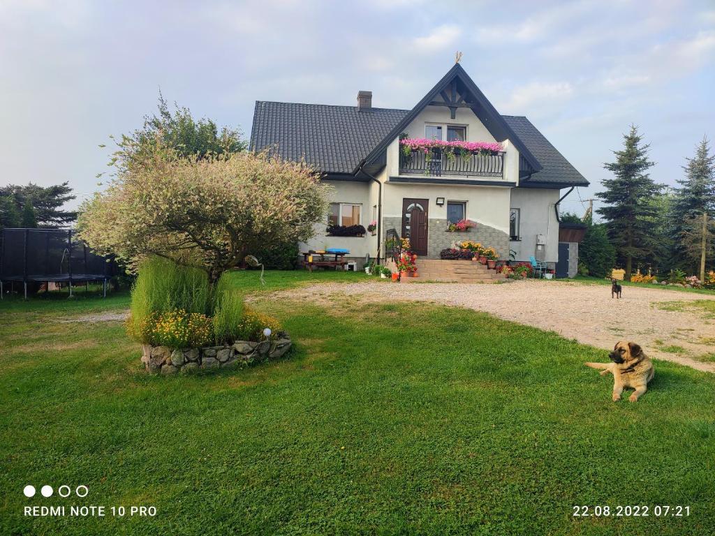a dog running in front of a house at Apartament w Oklinach in Wiżajny