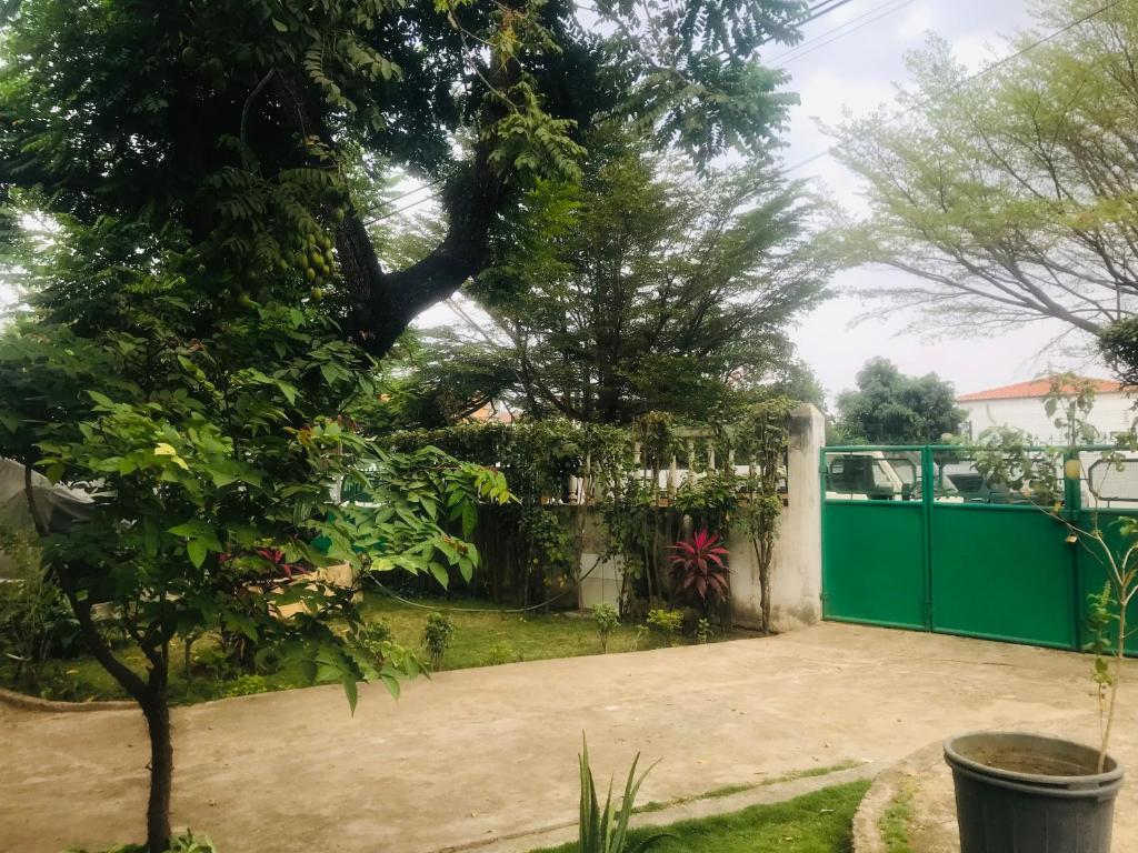 a garden with a green fence and a tree at Casa de Ferias in São Tomé