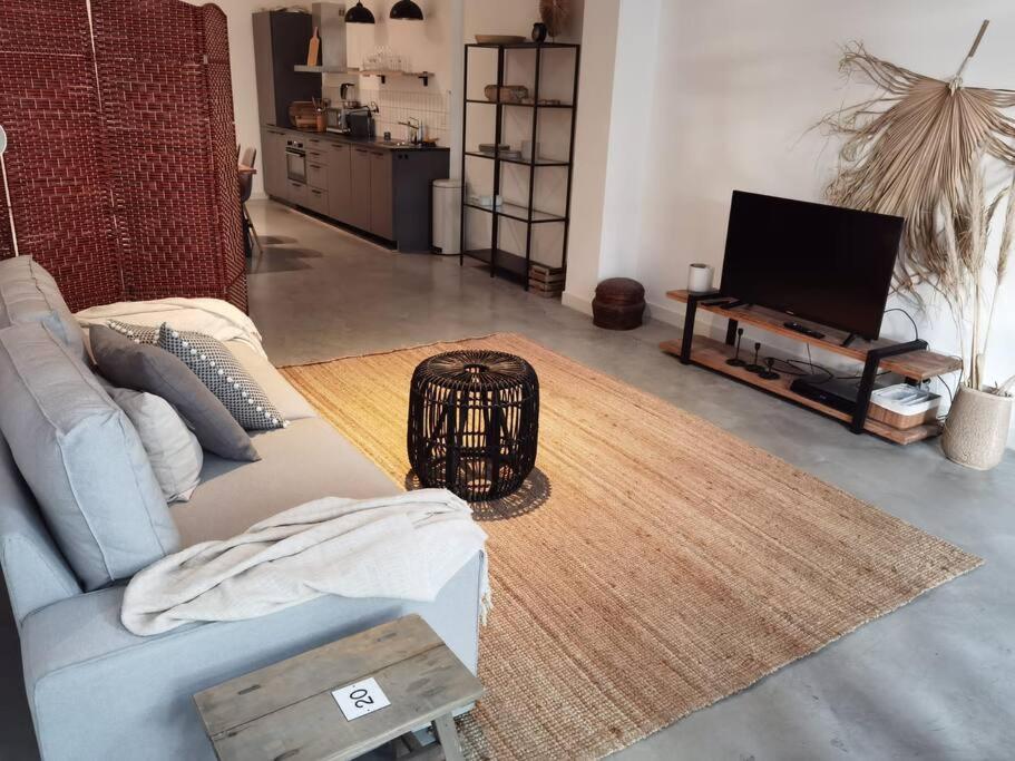 uma sala de estar com um sofá e uma televisão em Lovely 2 Bedroom Serviced Apartment in Rotterdam em Roterdã