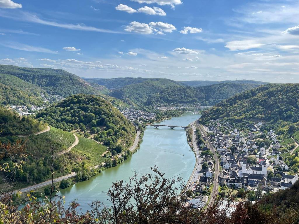 a view of a river and a city at FeWo.Mosel.barrierefrei+modern in Treis-Karden