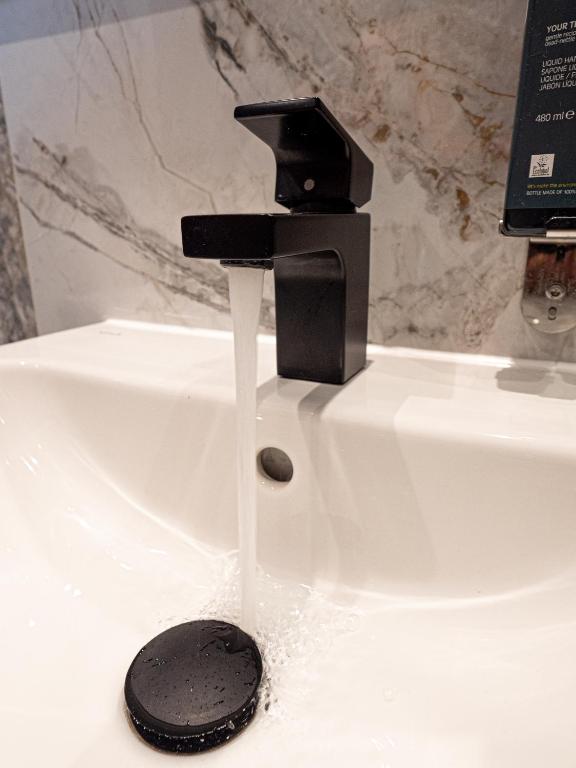 Hyde Park Green - Resim 36