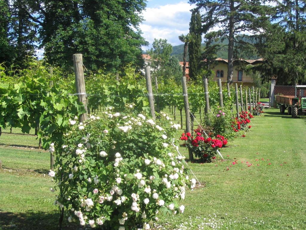 Vonkajšia záhrada v ubytovaní Volpe Pasini - Wine and Rooms