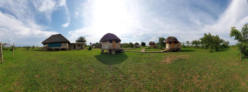 a group of cottages in a grass field at Songbird Safari Lodge & Campsite in Katunguru